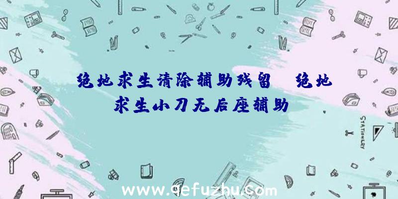 「绝地求生清除辅助残留」|绝地求生小刀无后座辅助